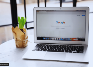 Google y NVIDIA: Una Alianza para Transformar el Futuro con IA Google y NVIDIA IA