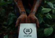 COP30: el desafío de la inclusión indígena amazónica Amazonía COP30