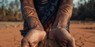 Fondo de Pérdidas y Daños: clave ante crisis climática en Amazonas sequía Amazonía