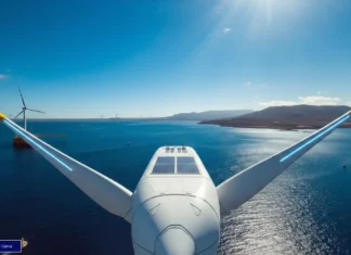 Gran Canaria pide la primera subasta de eólica marina eolica marina