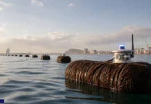 El puerto de Barcelona prueba barreras de cabello con Clic sea Clic Sea