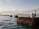 El puerto de Barcelona prueba barreras de cabello con Clic sea Clic Sea